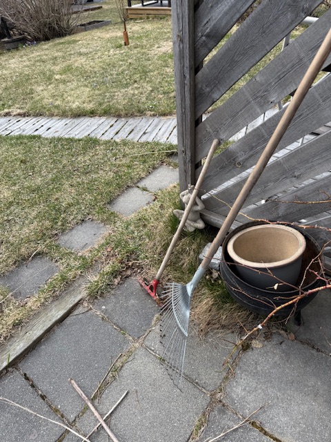 Uppdragsförfrågan på Carlshem: Rensning & bortforsling av&nbsp;trädgårdsavfall