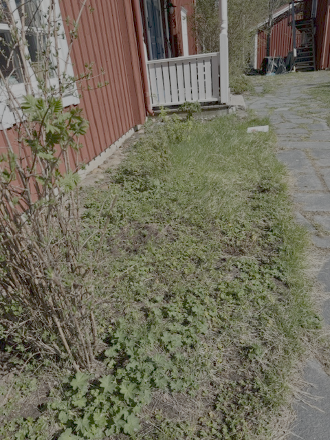 TILLDELAD: trädgårdsarbete
